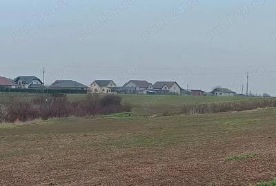 Teren de 558 mp, în Livada de Bihor - 5