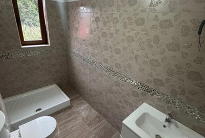 Apartament cu 2 camere decomandat în Valea Alba - 11