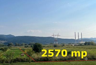 Teren de 2570 mp, în Bejan - 4