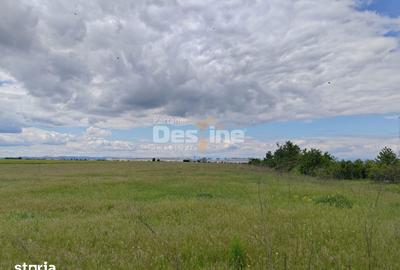 Teren de 114000 mp, în Ariceștii Rahtivani - 3