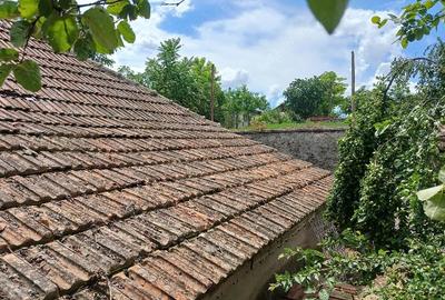 Casă cu Teren 2000 Mp în Cerchezu - 3