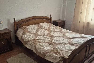 Casă cu 6 camere cu Teren 5000 Mp în Prahuda - 2