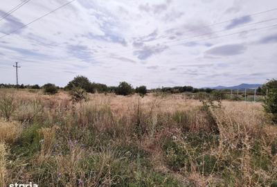 Teren de 3500 mp, în Central