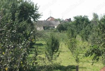 Teren de 4400 mp, în Prejmer - 1