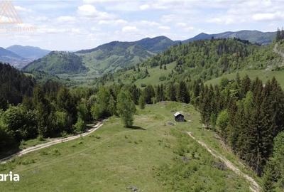 Teren de 100000 mp, în Central
