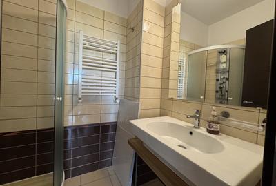 Apartament cu 3 camere decomandat, mobilat în Tineretului - 11