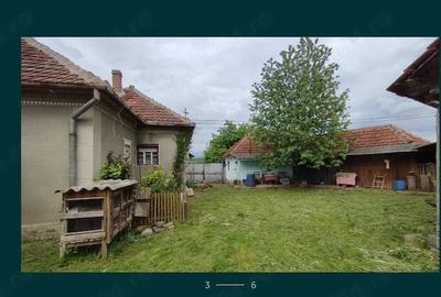 Casă cu 3 camere cu Teren 5000 Mp în Ceica - 4