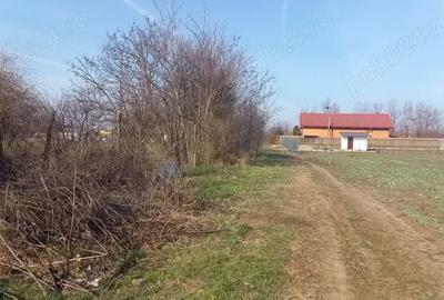Teren de 10000 mp, în Dârvari - 1