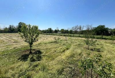 Teren de 1424 mp, în Bărcănești - 4