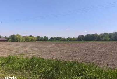 Teren de 6300 mp, în Gălănești - 2