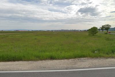 Teren agricol intravilan de 5000 mp, în Cristian - 4