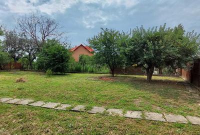 Casă cu 4 camere în Viișoara - 3