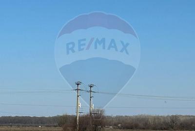 Teren Construcții intravilan de 40000 mp, în Cocani - 4