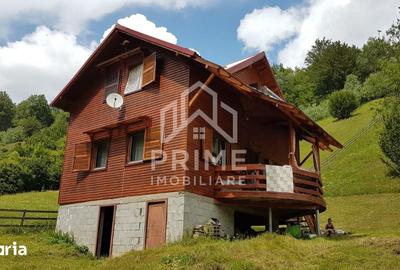 Casă cu 5 camere cu Teren 3220 Mp în Central - 4