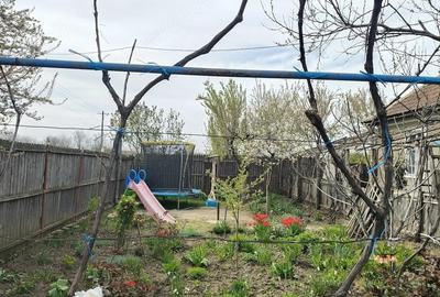 Casă cu 4 camere cu Teren 1500 Mp în Dârvari - 4