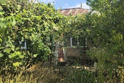 Casă cu Teren 5000 Mp în Odăeni