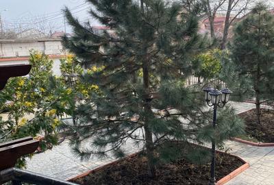 Garsonieră decomandată în Bucureștii Noi - 7