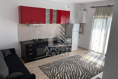 Apartament cu 2 camere decomandat, mobilat în Remetea Mare