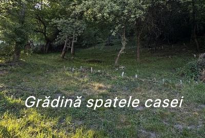 Casă cu 4 camere în Central