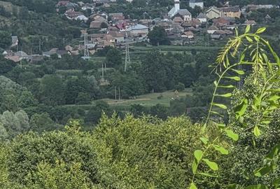 Spațiu comercial, în Central