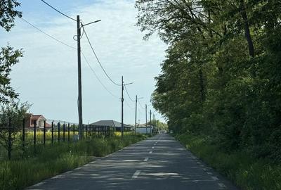Teren de 500 mp, în Snagov - 5