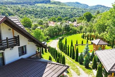 Casă individuală cu 5 camere cu Teren 2772 Mp în Valea Doftanei - 2
