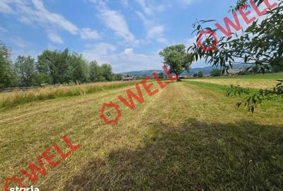 Teren de 2400 mp, în Barcani - 4