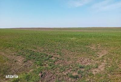 Teren de 5800 mp, în Avrămeni - 4