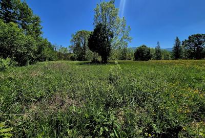 Teren agricol extravilan de 823 mp, în Șinca Nouă - 3