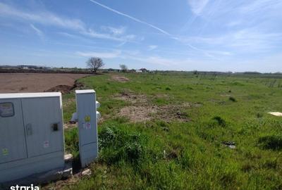 Teren de 2600 mp, în Frumușani - 2