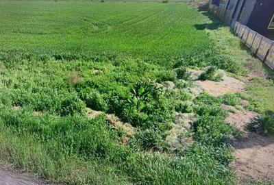 Teren de 5000 mp, în Palas - 1