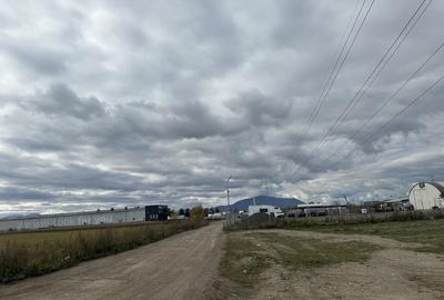 Teren de 3200 mp, în Stupini - 5