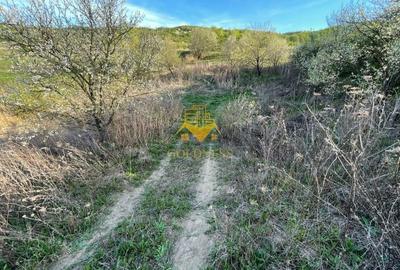 Teren agricol intravilan de 5500 mp, în Sopor - 10