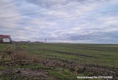 Teren agricol extravilan de 2500 mp, în Corbu - 15