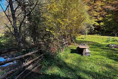 Teren de 2315 mp, în Boș - 5