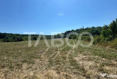 Teren în Calea Poplăcii