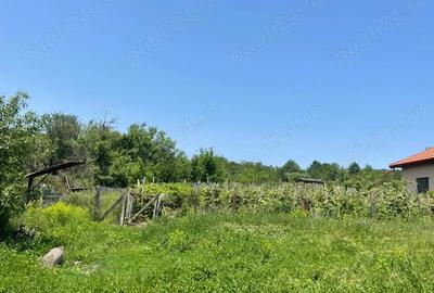 Casă cu 3 camere cu Teren 3800 Mp în Bălănești - 4