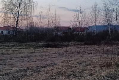 Teren de 10000 mp, în Merișor - 4