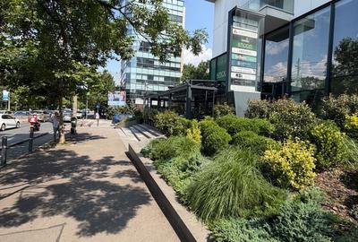 Apartament cu 3 camere în Herăstrău
