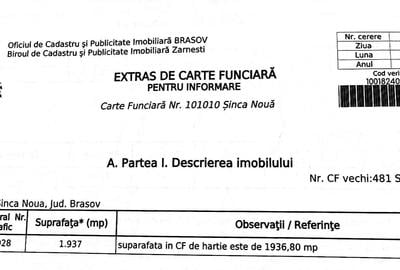 Teren agricol extravilan de 18860 mp, în Șinca Nouă - 19