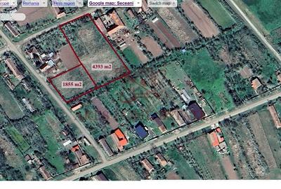Teren Construcții intravilan de 4393 mp, în Seceani - 3