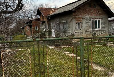 Casă cu 4 camere în Crivina - 8