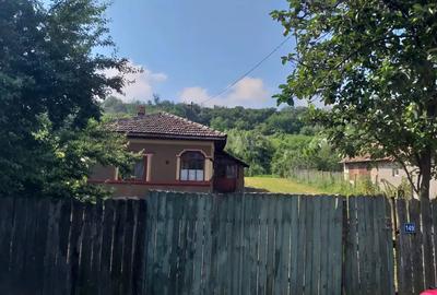 Teren de 3500 mp, în Izvoarele - 4