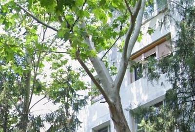 Apartament cu 3 camere în Centrul Istoric - 1