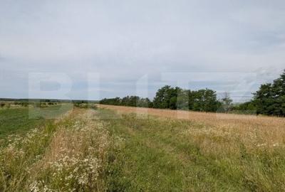 Teren de 3148 mp, în Central