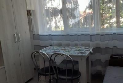 Garsonieră decomandată în Agrieș - 1