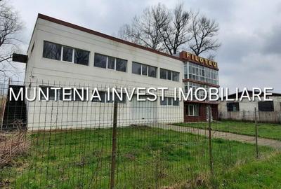 Spațiu comercial, de 672 mp, în Mărăcineni - 4