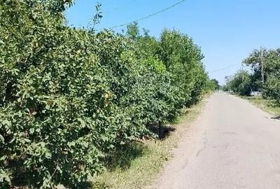 Casă cu 4 camere în Izvoarele