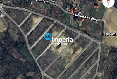 Teren Construcții intravilan de 4292 mp, în Bucium - 2