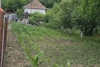Casă cu 2 camere cu Teren 1000 Mp în Sânmărghita - 7